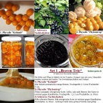 SET 1 BEEREN TRIO Artikelbild