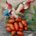 Black Icicle Artikelbild