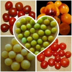 SET Exotic Cherry Artikelbild