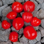 Tomate Hahnenkamm rot Artikelbild