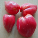 Tomate Koreanisch Langfruchtig Artikelbild