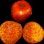 Tomate Lucid Gem Artikelbild