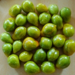 Tomate Michael Pollan Artikelbild